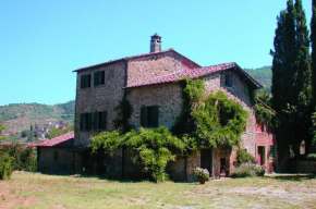 Olivo Arezzo